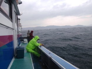 PA170276.jpg