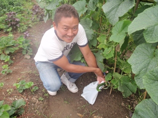 山田きゅうり.jpg 山田きゅうり.jpg