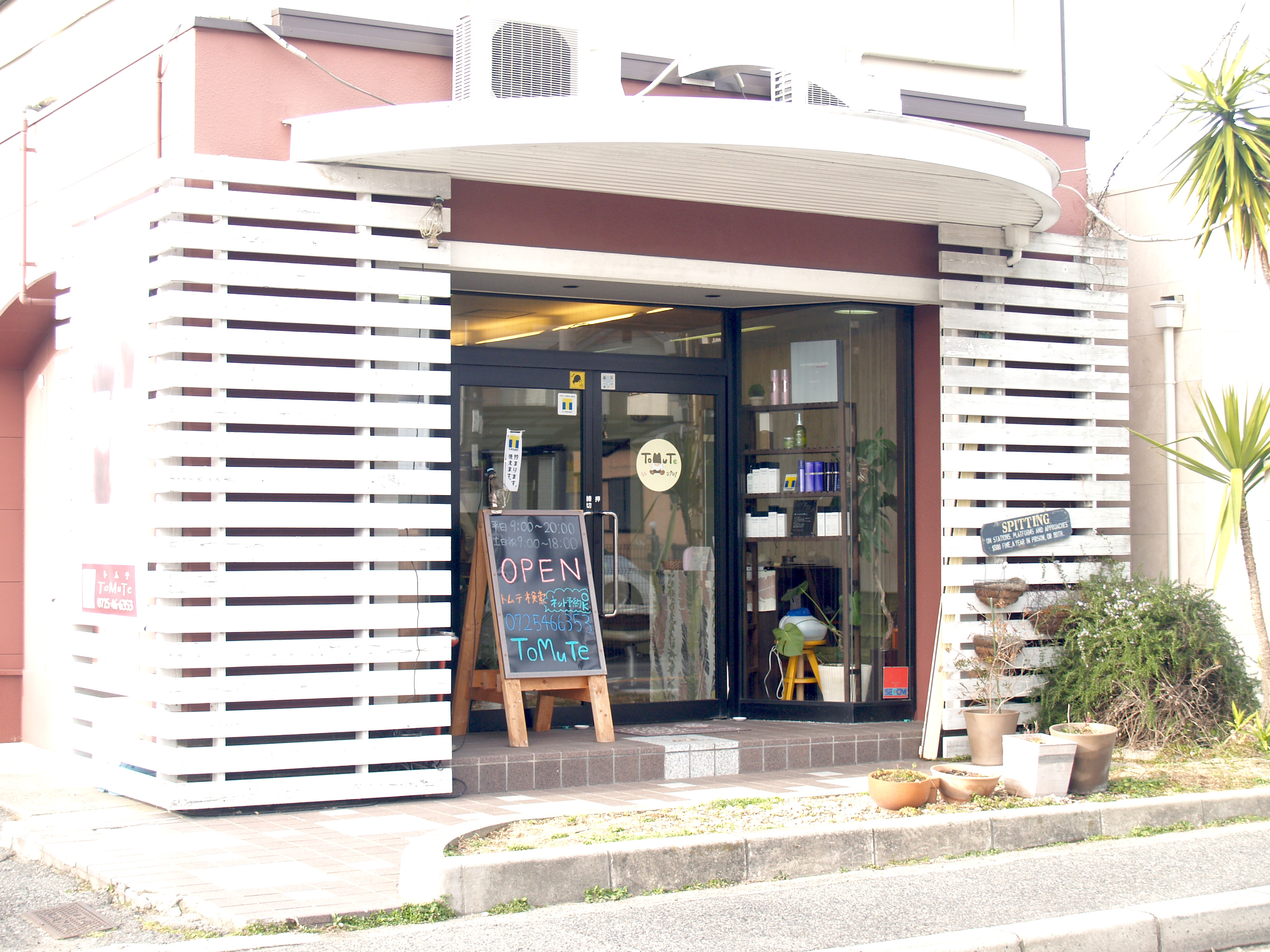 今後の展望